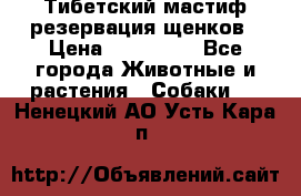 Тибетский мастиф резервация щенков › Цена ­ 100 000 - Все города Животные и растения » Собаки   . Ненецкий АО,Усть-Кара п.